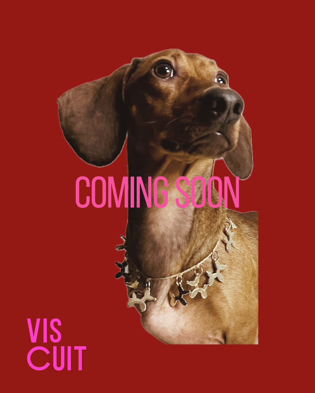 collar vermut